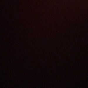 Meet your Posher, Lourdes